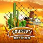 Country Music Videos Best of 2024 (4 DVD's) 100 Music Videos