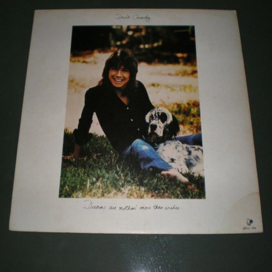 DAVID CASSIDY : Dreams are nuthin' more than wishes ( US Pop Rock Vinyl Record LP )