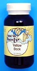 Yellow Dock (Rumex crispus)