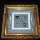 UNC- Collector's Shadowbox
