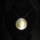 Pearly Shell