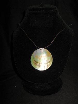 Pearly Shell