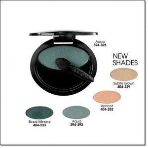 TRUE COLOR EYESHADOW SINGLE