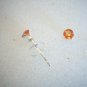 Genuine Padparadscha Sapphire Earrings