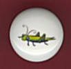 Green GRASSHOPPER Ceramic Knobs Pulls