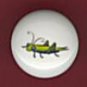 Green GRASSHOPPER Ceramic Knobs Pulls