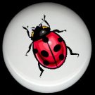 LADYBUG #1 ~ Ceramic Knobs Pulls