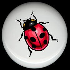 LADYBUG #1 ~ Ceramic Knobs Pulls