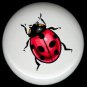 LADYBUG #1 ~ Ceramic Knobs Pulls