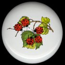 LADYBUGS on LEAVES ~ Ceramic Knobs Pulls