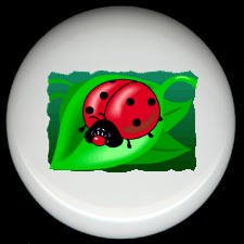 LADYBUG on a LEAF ~ Ceramic Knobs Pulls