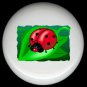 LADYBUG on a LEAF ~ Ceramic Knobs Pulls