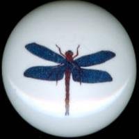 DRAGONFLY Dragon Fly #5 Ceramic Drawer Knobs