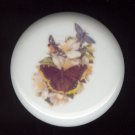 Victorian Butterfly 2 Ceramic Knob KNOBS