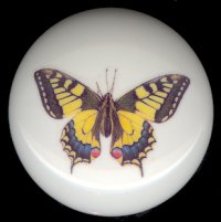 BEAUTIFUL BUTTERFLY 3 Ceramic Knob KNOBS
