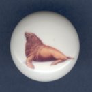 SEA LION Ceramic Knob KNOBS