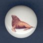 SEA LION Ceramic Knob KNOBS