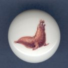 ELEPHANT SEAL Ceramic Knob KNOBS