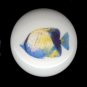 TROPICAL FISH #1 Ceramic Knob KNOBS