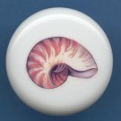 SEA SHELL Seashell #1 Ceramic Knob KNOBS