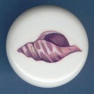 SEA SHELL Seashell #2 Ceramic Knob KNOBS