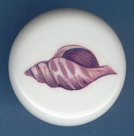 SEA SHELL Seashell #2 Ceramic Knob KNOBS
