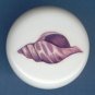 SEA SHELL Seashell #2 Ceramic Knob KNOBS