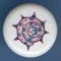 SEA SHELL Seashell #3 Ceramic Knob KNOBS