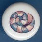 SEA SHELL Seashell #4 Ceramic Knob KNOBS