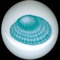 Pastel SEA GREEN Shell Shells CERAMIC KNOBS Pulls Knob Free Ship
