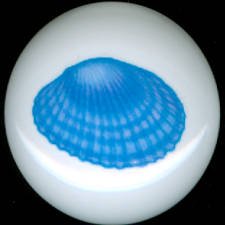 OCEAN BLUE Seashell Shell Shells CERAMIC KNOBS Pulls Knob Free Ship