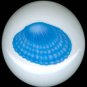 OCEAN BLUE Seashell Shell Shells CERAMIC KNOBS Pulls Knob Free Ship