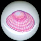 PEARL PINK Seashell Shell Shells CERAMIC KNOBS Pulls Knob Free Ship