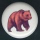 Bears
