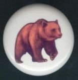 BROWN BEAR ~ Ceramic Knobs Pulls