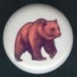 BROWN BEAR ~ Ceramic Knobs Pulls