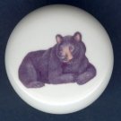 BLACK BEAR ~ Ceramic Knobs Pulls