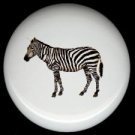 Jungle Safari ZEBRA Ceramic Knobs Pulls Free S/H
