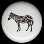 Jungle Safari ZEBRA Ceramic Knobs Pulls Free S/H
