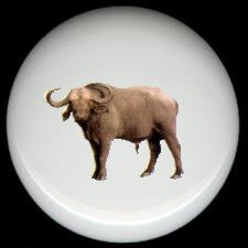 WATER BUFFALO Ceramic Knobs Pulls Free S/H