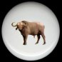 WATER BUFFALO Ceramic Knobs Pulls Free S/H