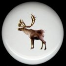 REINDEER Ceramic Knobs Pulls Free S/H