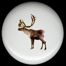REINDEER Ceramic Knobs Pulls Free S/H