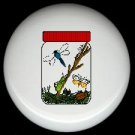 BUGS INSECTS in a JAR Cabin Rustic Ceramic Drawer Knobs Pulls FREE S/H
