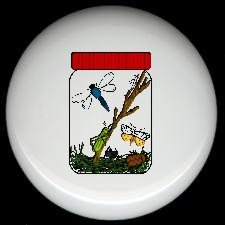 BUGS INSECTS in a JAR Cabin Rustic Ceramic Drawer Knobs Pulls FREE S/H