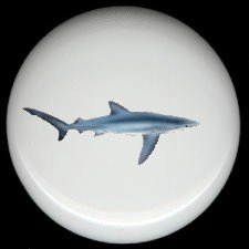 BLUE SHARK Ceramic Drawer Knob KNOBS