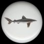 WHITE TIP SHARK Ceramic Drawer Knob KNOBS