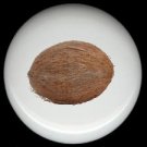 TROPICAL COCONUT Ceramic Knobs Pulls