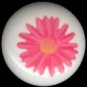 Pink CRAZY DAISY Flower Ceramic Knobs Pulls