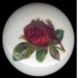 Deep Red VICTORIAN ROSE Ceramic Knobs Pulls